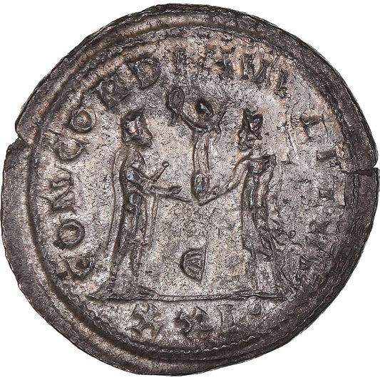 minca,
Maximianos Heraklis,
Antoninian
