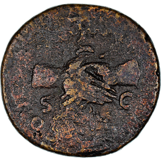 Moneta,
nerv,
Dupondius