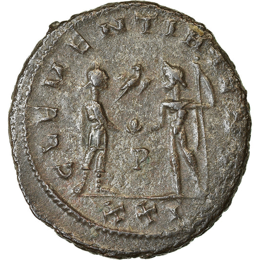 minca, 
  
  Probus, 
  
  Antoninian