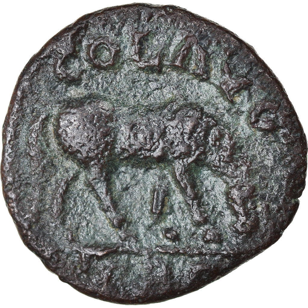 minca,
 
 Troas,
 
 Alexandria