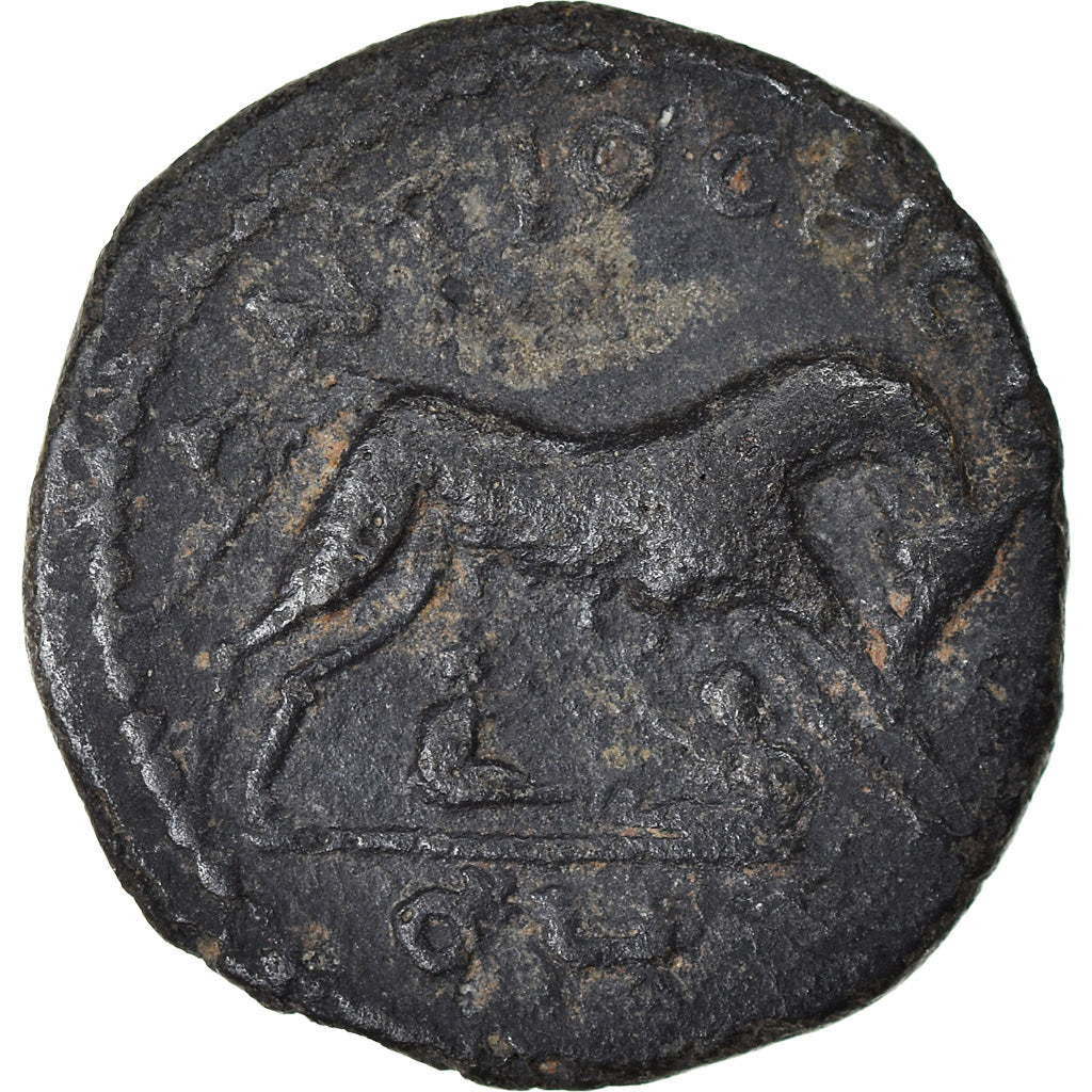minca,
 
 Pisidia,
 
 Severus Alexander