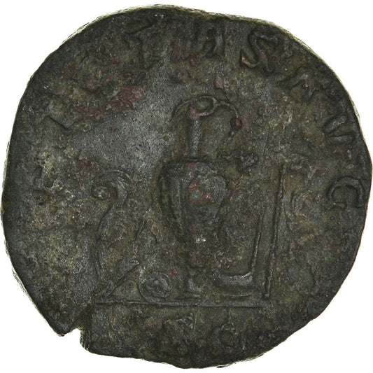minca,
 
 Maximus,
 
 Sestertius